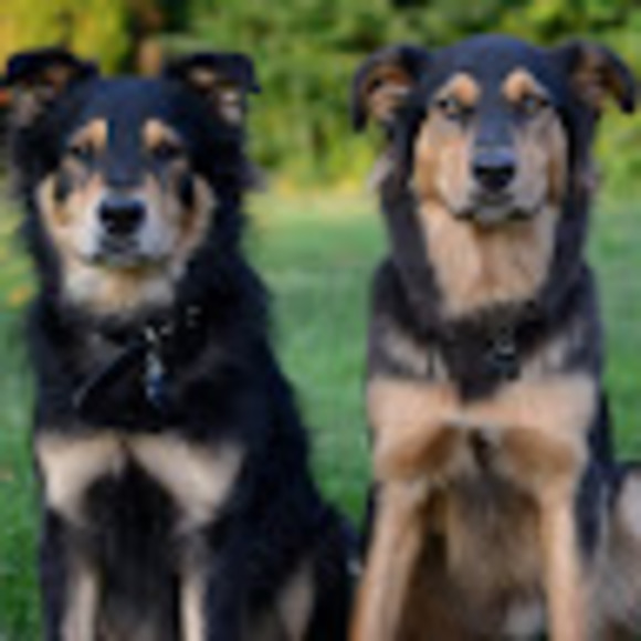 Meet your Posher, Casey - Picture 1 of 1